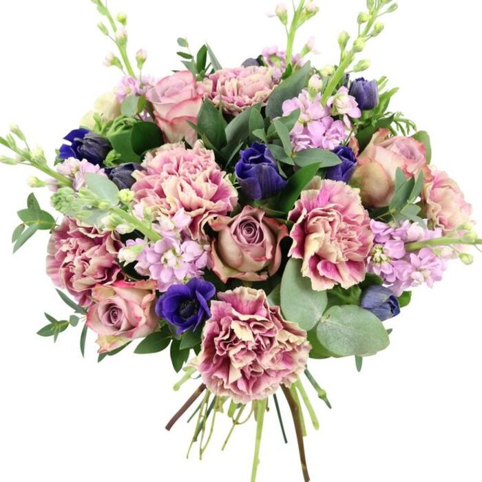 This hand-tied bouquet, shown clearly against a simple white background, captures the eye with a tapestry of pink, purple, and blue tones layered over lush greenery. At its centre, large garden roses open luxuriantly, their petals shaded from soft blush pink through dusty rose to muted mauve, forming a beautifully romantic core that immediately suggests heartfelt sentiment. Around them, numerous carnations unfurl in ruffled tiers, each petal edged and tipped with deeper rose and fuchsia hues while the inner petals remain a gentle cream or beige, giving the whole arrangement a sense of depth, softness, and movement. Adding contrast, several deep indigo-blue flowers weave through the bouquet: some resemble sleek, tulip-like buds, while others appear as rich, royal-blue anemones, one of which sits prominently toward the front, its dark centre drawing the gaze inward like a focal point in a painting. Rising among these fuller blooms, slender wands of lilac and pale lavender stock carry rows of tiny blossoms, creating vertical lines that lighten the overall shape and lend a delicate, almost airy texture. The flowers are cradled by generous foliage-rounded, silvery eucalyptus leaves and darker, glossy greenery-that frames the colours and hints at a fresh, cool fragrance, like stepping into a shaded garden off the residential streets surrounding Bromley Common. At the base, the stems are neatly gathered and visible, revealing the spiral hand-tying and craftsmanship a local florist would use when preparing a premium bouquet for delivery. The finished design feels at once luxurious and comforting, perfect for marking a special birthday, an anniversary, or sending thoughtful wishes to someone nearby.
